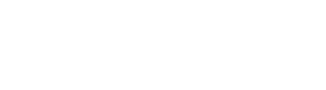 tldv